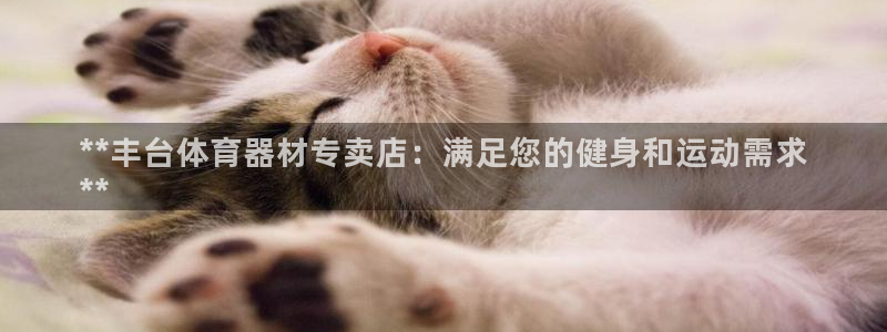 耀世娱乐平台官网：**丰台体育器材专卖店：满足您的健