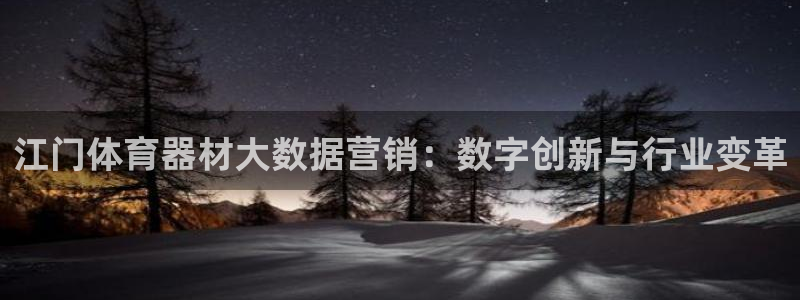 耀世微光下载：江门体育器材大数据营销：数字创新与行业