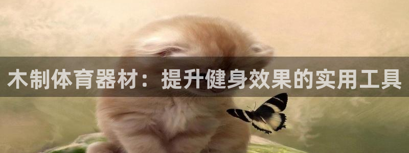 耀世平台：木制体育器材：提升健身效果的实用工具