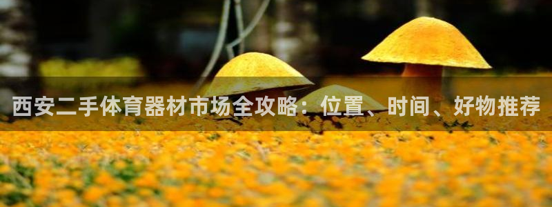 耀世平台信 585341 平台：西安二手体育器材市场