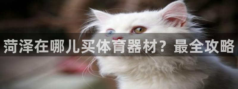 耀世娱乐网站：菏泽在哪儿买体育器材？最全攻略