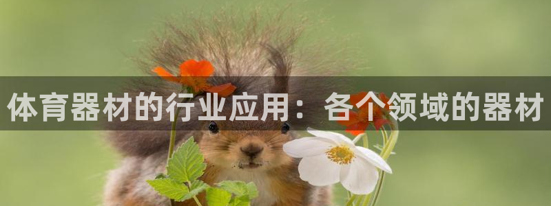 耀世娱乐平台官网登录：体育器材的行业应用：各个领域的