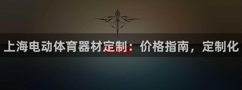 耀世平台会员中心：上海电动体育器材定制：价格指南，定