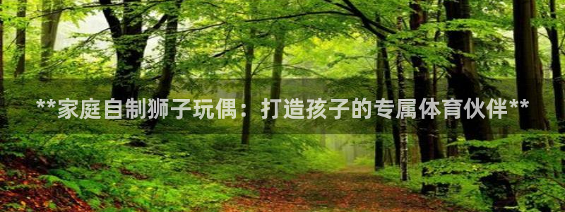 耀世盛典官网入口：**家庭自制狮子玩偶：打造孩子的专