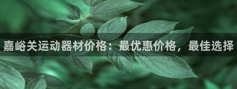 耀世娱乐挂机怎么玩：嘉峪关运动器材价格：最优惠价格，
