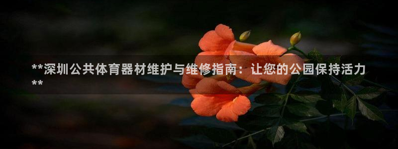 耀世平台最新注册地址在哪里：**深圳公共体育器材维护