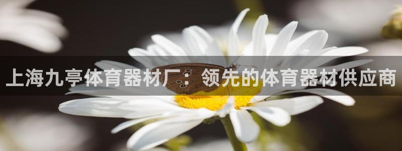 耀世娱乐提现失败：上海九亭体育器材厂：领先的体育器材