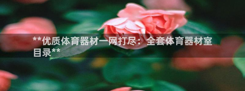 耀世平台负责人怎么样：**优质体育器材一网打尽：全套
