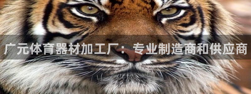 耀世平台推 411o31 耀世：广元体育器材加工厂：