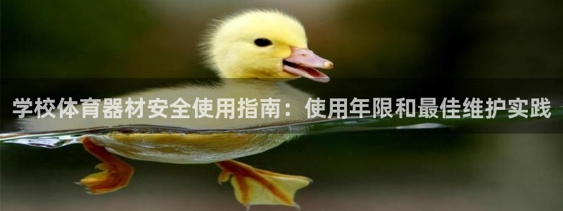 耀世集团：学校体育器材安全使用指南：使用年限和最佳维