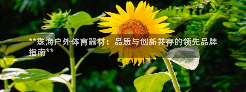 耀世娱乐平台注册登录不了：**珠海户外体育器材：品质