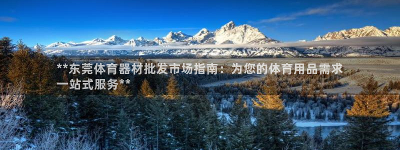 耀世登场的近义词：**东莞体育器材批发市场指南：为您