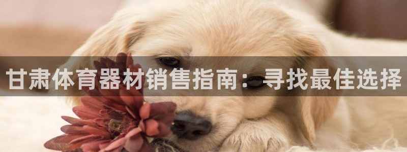 耀世平台信 585341 平台：甘肃体育器材销售指南