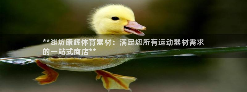 耀世娱乐网址是什么：**潍坊康辉体育器材：满足您所有