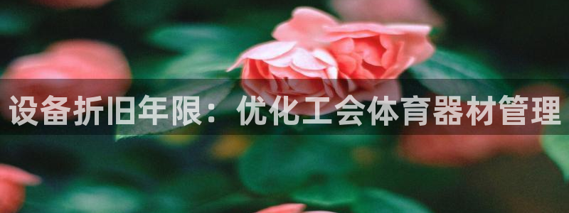 耀世娱乐老板是谁：设备折旧年限：优化工会体育器材管理