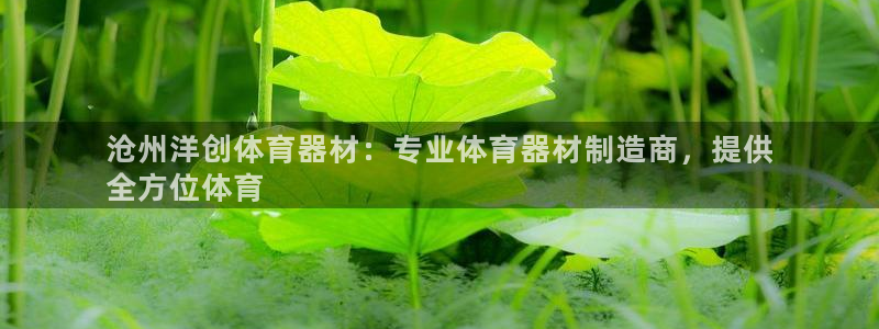 耀世天下的是什么意思：沧州洋创体育器材：专业体育器材