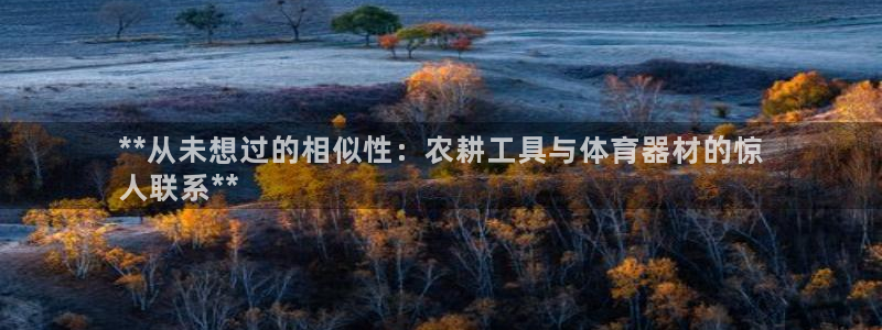 耀世平台注册步骤图片：**从未想过的相似性：农耕工具