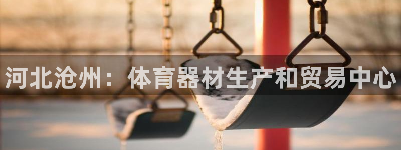 耀世平台注册流程图：河北沧州：体育器材生产和贸易中心