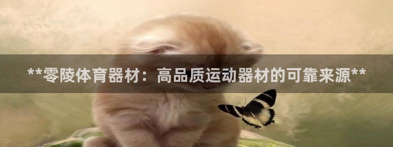 耀世娱乐辅助软件下载官网：**零陵体育器材：高品质运