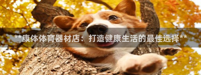 耀世娱乐网站下载：**康体体育器材店：打造健康生活的