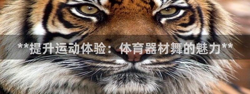 耀世娱乐可以玩吗：**提升运动体验：体育器材舞的魅力
