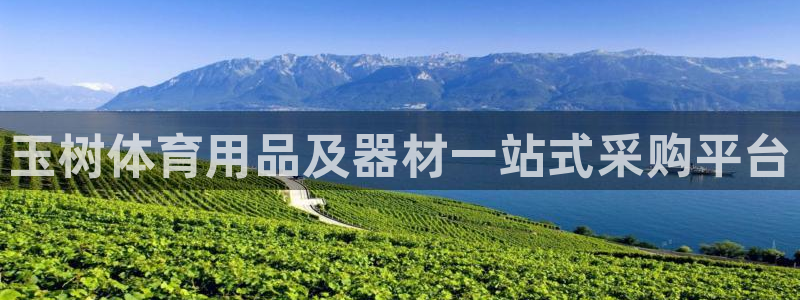 耀世娱乐app下载官网苹果：玉树体育用品及器材一站式