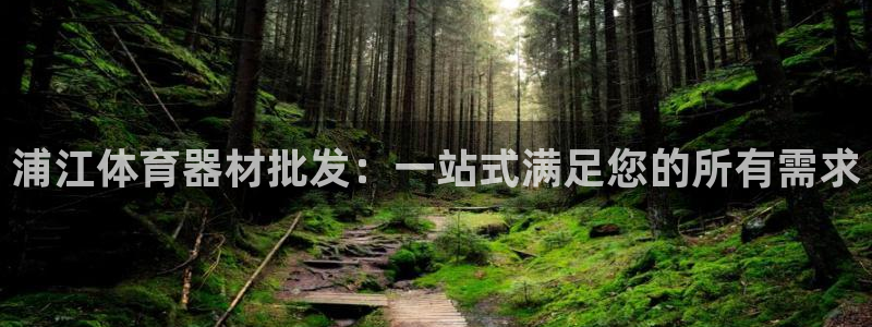 耀世娱乐能不能提现：浦江体育器材批发：一站式满足您的