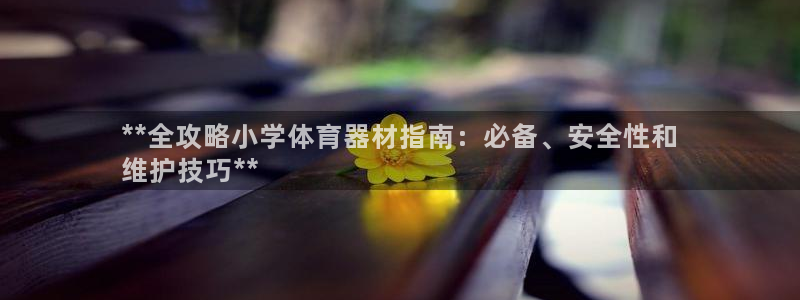 耀世平台注册开户流程：**全攻略小学体育器材指南：必