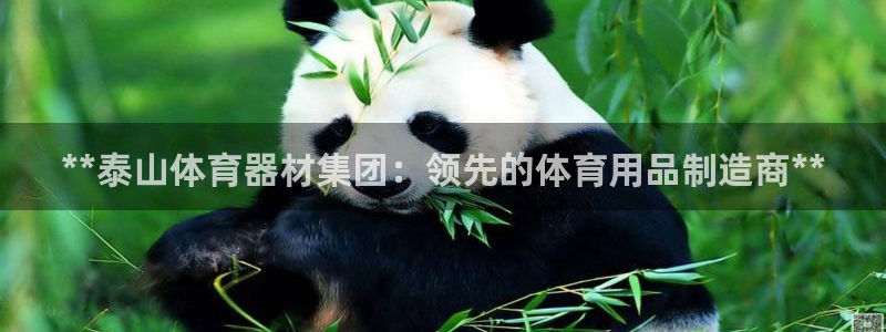 耀世娱乐老板是谁：**泰山体育器材集团：领先的体育用