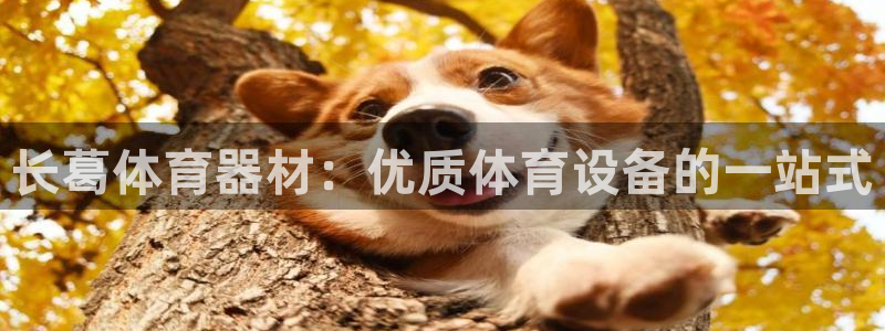 耀世娱乐建334-82 主管：长葛体育器材：优质体育