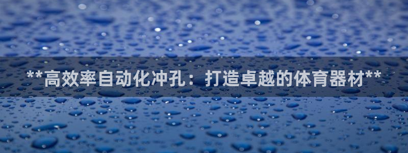 耀世微光mv：**高效率自动化冲孔：打造卓越的体育器