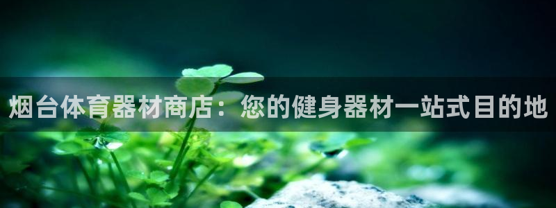 耀世平台注册开户需要什么：烟台体育器材商店：您的健身