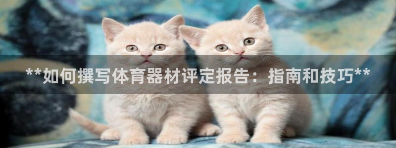 耀世平台app下载安装：**如何撰写体育器材评定报告