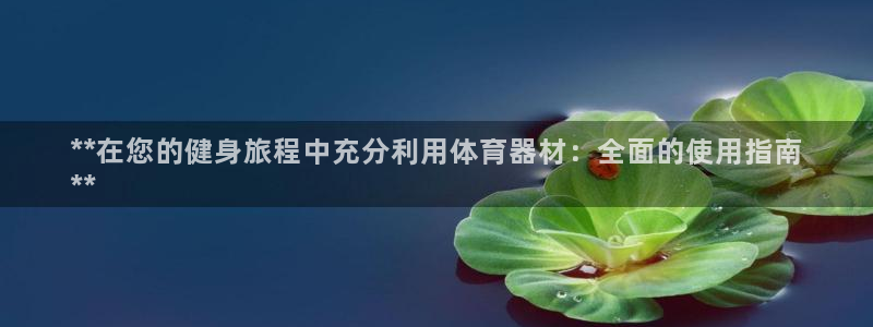 耀世平台代理怎么做的：**在您的健身旅程中充分利用体
