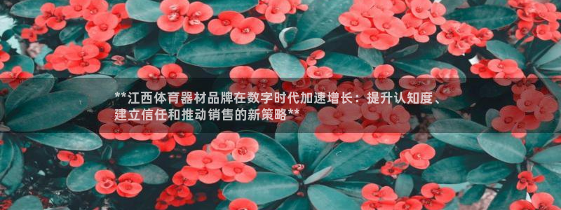 耀世娱乐官网注册账号：**江西体育器材品牌在数字时代
