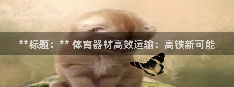 耀世娱乐平台官网入口：**标题：** 体育器材高效运