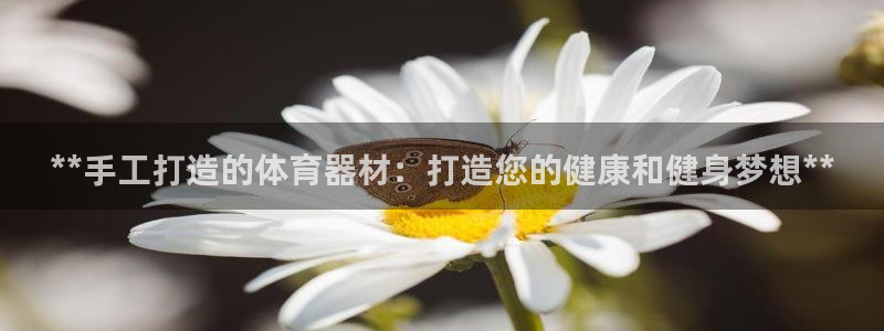 耀世集团董事长是谁：**手工打造的体育器材：打造您的