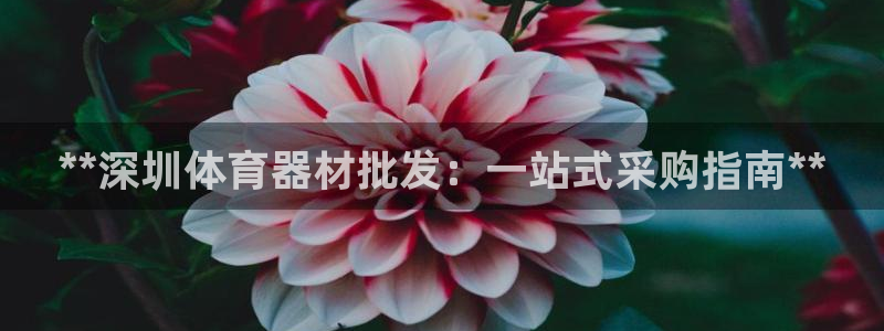 耀世娱乐下载最新版本安装：**深圳体育器材批发：一站
