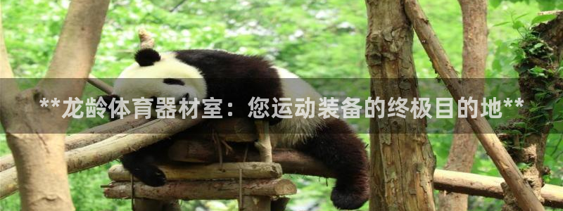 耀世国际平台正规吗可信吗安全吗：**龙龄体育器材室：