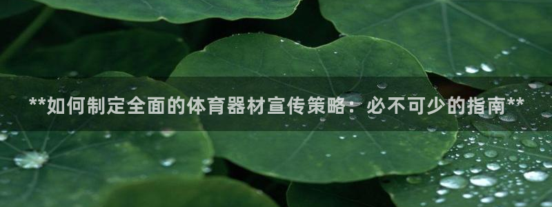 耀世平台人才：**如何制定全面的体育器材宣传策略：必