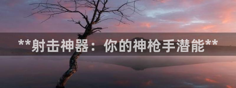 耀世平台注册步骤图片：**射击神器：你的神枪手潜能*