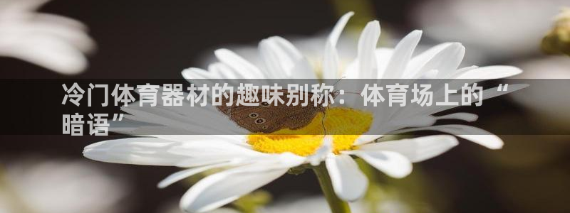 耀世娱乐注册官网账号：冷门体育器材的趣味别称：体育场