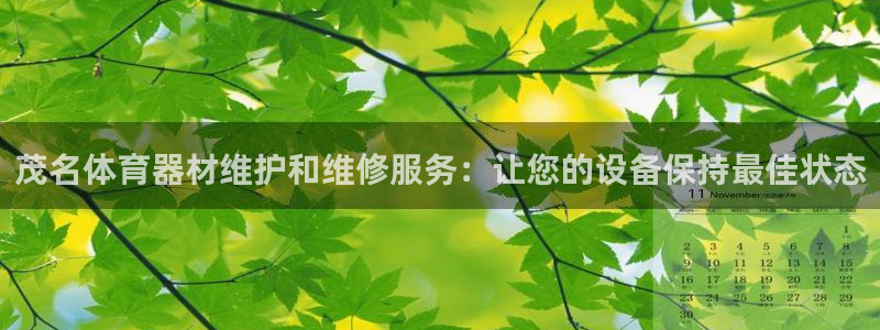 耀世娱乐提款多久到账户：茂名体育器材维护和维修服务：