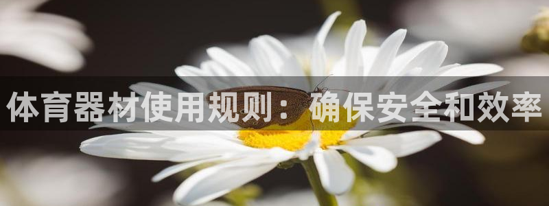 耀世天下的图片唯美
