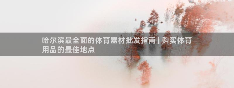 耀世楼盘：哈尔滨最全面的体育器材批发指南 | 购买体