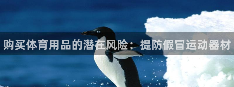 耀世意思是什么：购买体育用品的潜在风险：提防假冒运动
