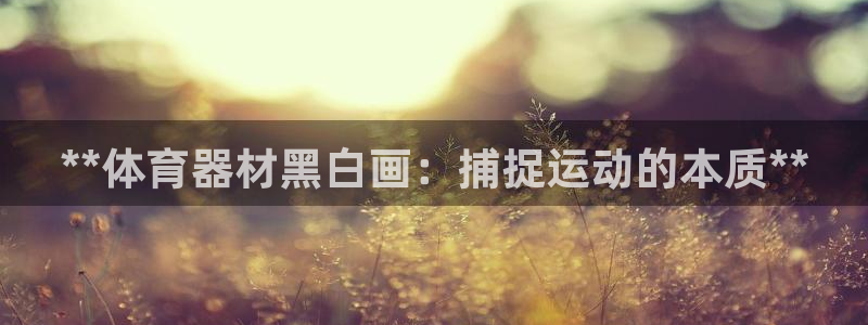 耀世官方网站入口：**体育器材黑白画：捕捉运动的本质