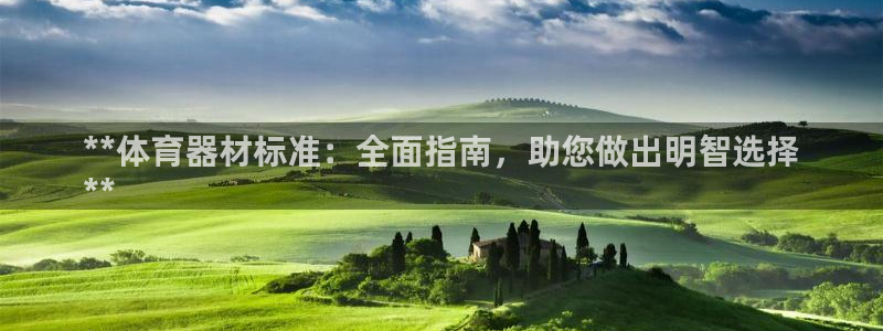 耀世集团是干嘛的企业：**体育器材标准：全面指南，助