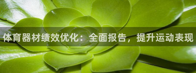 耀世集团：体育器材绩效优化：全面报告，提升运动表现