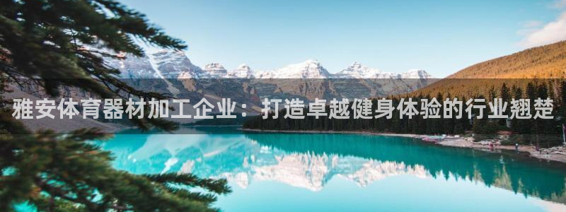 耀世娱乐提款机怎么用：雅安体育器材加工企业：打造卓越